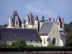 Castello di Boumois - Castello e Cappella di Saint-Martin-de-la-Place
