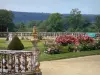 Castello di Carrouges - Aiuole (roseti in fiore, le rose) Giardino