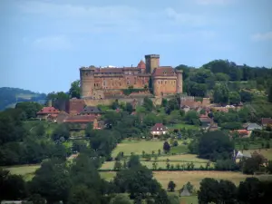Castello di Castelnau-Bretenoux - Castello che domina case, alberi e campi, in Quercy