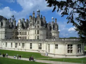 Castello di Chambord - Rami di un albero in primo piano, castello rinascimentale, viale di prati e le nuvole nel cielo blu