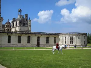 Castello di Chambord - Castello rinascimentale, costume cavaliere su un cavallo bianco, erba e nuvole nel cielo blu