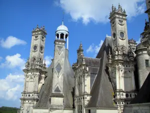 Castello di Chambord - Camini del castello rinascimentale