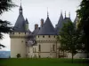 Castello di Chaumont-sur-Loire - Castello, prato e alberi