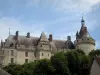 Castello di Chaumont-sur-Loire - Castello e Albero