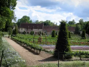 Castello di Chenonceau - Giardino di fiori, giardino, fattoria, gli alberi e le nuvole nel cielo