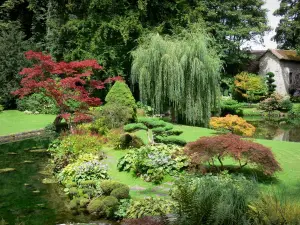 Castello di Courances - Impianti giapponesi in giardino