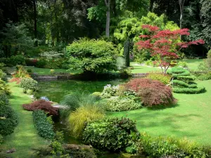 Castello di Courances - Impianti giapponesi in giardino