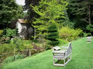 Castello di Courances - Panche con vista sulle piante da giardino giapponese