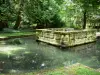 Castello di Courances - Castle Park: il Duomo circondato da acqua e alberi