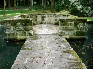 Castello di Courances - Castle Park: il Duomo con le sue sfiati d'acqua