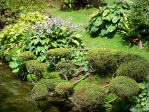Castello di Courances - Impianti giapponesi in giardino