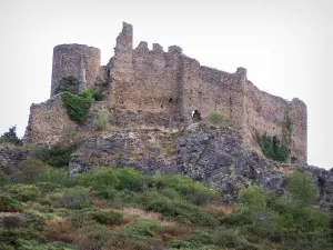 Castello di Couzan - Rovine (rimane) della fortezza medievale, a Sail-sous-Couzan