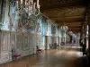Castello di Fontainebleau - All'interno del palazzo di Fontainebleau: Flats: Galleria di Francesco I