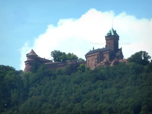 Castello di Le Haut-Koenigsbourg - Rocca circondata da alberi