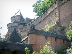 Castello di Le Haut-Koenigsbourg - Fortress e l'albero