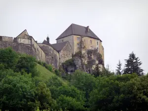 Castello di Joux - Fort (forte) ospita un museo di armi antiche e alberi, La Cluse-et-Mijoux