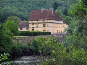 Castello di Losse - Castello di Fiume (la Vezere), alberi lungo il fiume e la foresta