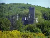 Castello di Montbrun - Dungeon e le torri della fortezza, gli alberi e la fioritura delle ginestre, in Naturale Regionale Périgord-Limousin