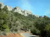 Castello di Peyrepertuse - Strada alberata che domina la fortezza arroccata su un promontorio roccioso