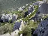 Castello di Peyrepertuse - Resti della fortezza arroccata