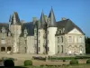 Castello di Rocher - Vista del castello e la sua corte, i comuni Mézangers
