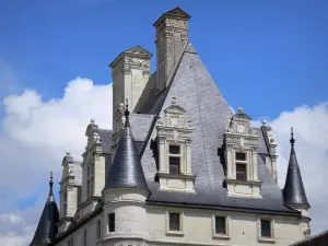 Castello di Valençay - Torrette, abbaini e finestre del mastio rinascimentale