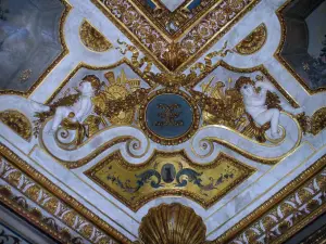 Castello di Vaux-le-Vicomte - All'interno del castello: soffitto libreria di dettagli