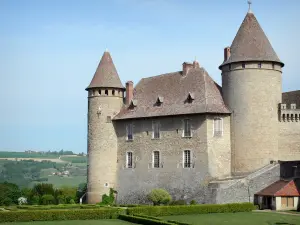 Castello di Virieu - Rocca medievale e la sua giardini alla francese