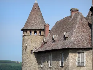 Castello di Virieu - Torre e la facciata della fortezza medievale