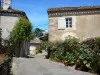 Castelmoron-d'Albret - Façades de maisons du village fleuri