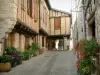 Castelnau-de-Montmiral - Ruelle, corbelled huizen en houten (baksteen voorzijde) van het huis, bloemen (geraniums) en planten