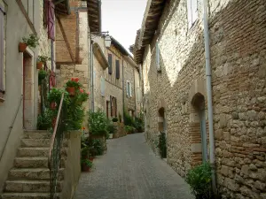 Castelnau-de-Montmiral - La calle llena de flores, plantas y casas de piedra