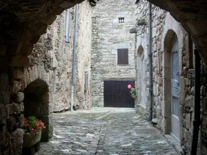 Castelnau-Pégayrols - Archway, calle pavimentada y casas de piedra de la aldea medieval