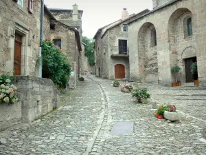 Castelnau-Pégayrols - Asfaltado de calle, Saint-Michel, casas de piedra y ornamentos florales de la aldea medieval