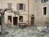 Castelnou - Plaza de la ciudad decorada con un árbol, tienda, fuentes y fachadas de las casas de piedra ocre