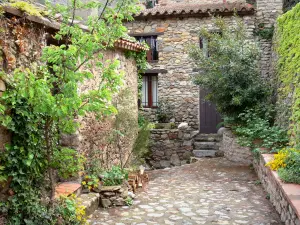 Castelnou - Strada lastricata fiancheggiata da case in pietra e piante