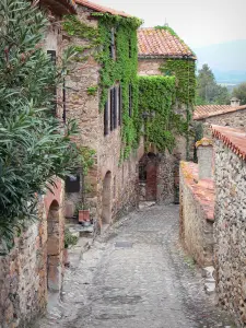 Castelnou - Strada lastricata fiancheggiata da case in pietra