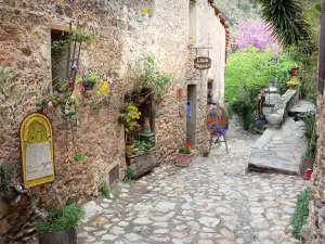 Castelnou - Facciata ornata di un laboratorio d'arte