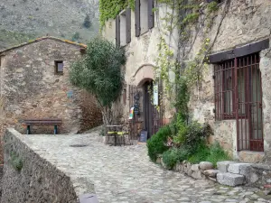 Castelnou - Facciate delle case del borgo medievale