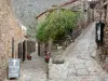 Castelnou - Ruelles pavées et maisons en pierre du village médiéval