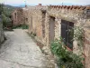 Castelnou - Ruelle pavée et maisons en pierre du village médiéval