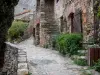 Castelnou - Empedradas y casas de piedra adornadas con flores