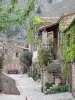 Castelnou - Dé un paseo por el pueblo medieval