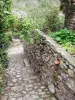 Castelnou - Ruelle pavée en pente bordée de végétation