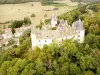 Castelo de La Rochepot - Vista aérea do castelo com telhados de telha envidraçada, em ambiente arborizado