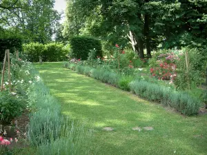 Castillo de Ainay-le-Vieil - Jardín: Jardín de las Rosas y los árboles en callejones