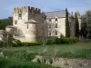 Castillo de Allemagne-en-Provence - Almenada torre, fachadas renacentistas con ventanas geminadas y las torres redondas, en el Parque Natural Regional de Verdon
