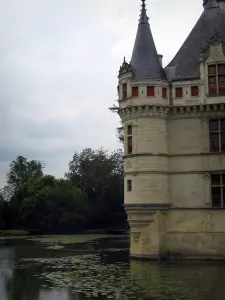 Castillo de Azay-le-Rideau - Rincón de la torre del castillo renacentista, río (Indre) con lirios de agua y los árboles en el parque