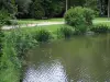 Castillo de Azay-le-Rideau - Parque del Castillo: River (INDRE), las flores en la orilla del agua, arbustos, caminos, césped, bancos y árboles