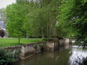 Castillo de Azay-le-Rideau - Parque del Castillo: River (INDRE), árboles y césped